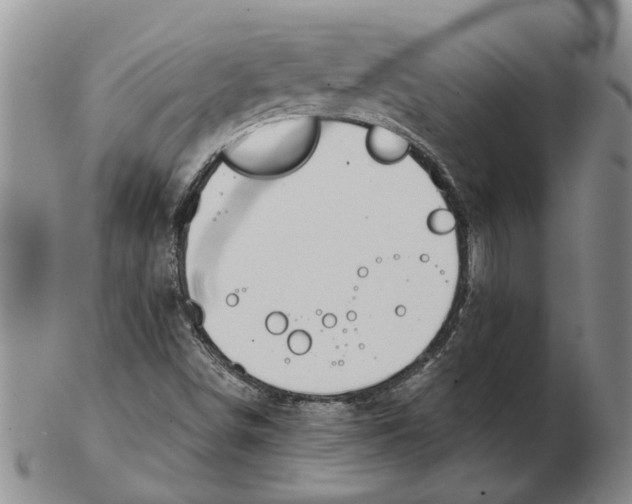 X0000102791498200809151113