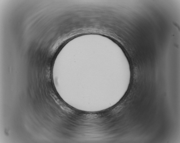 X0000102791499200809151113