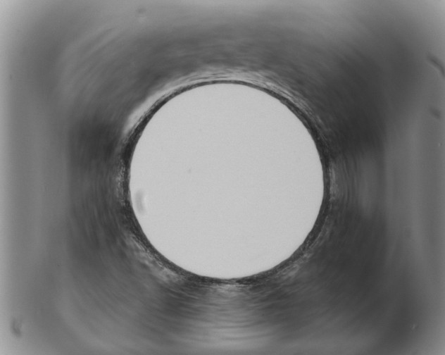 X0000102791502200809151113