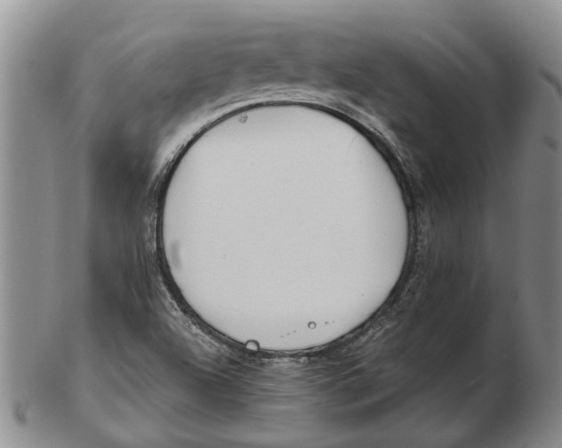 X0000102791504200809151113