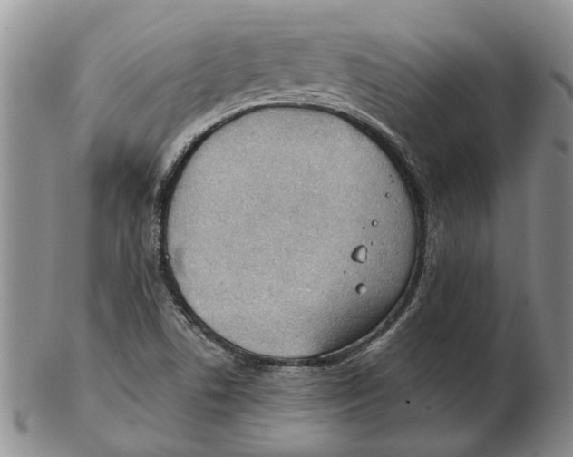 X0000102791506200809151113