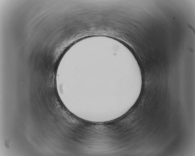 X0000102791507200809151113