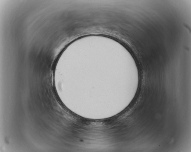 X0000102791509200809151113