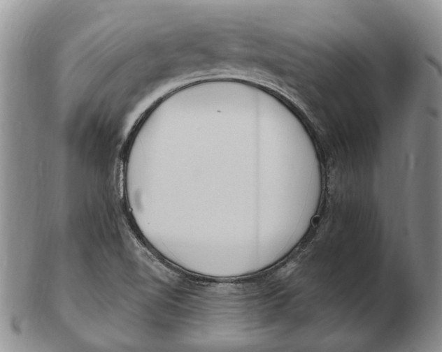 X0000102791510200809151113