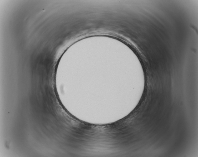 X0000102791512200809151113