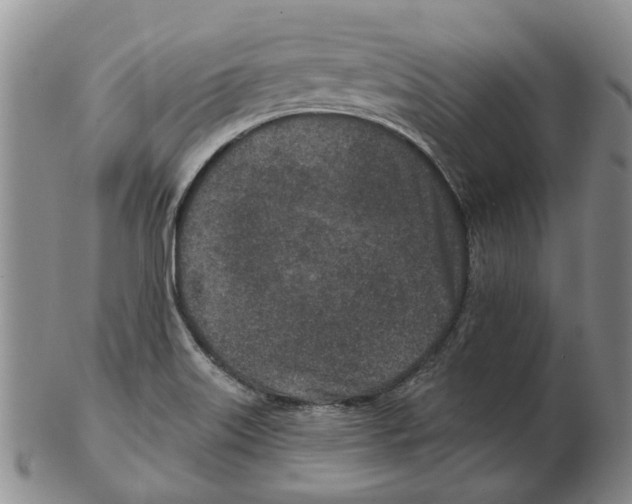 X0000102791515200809151113