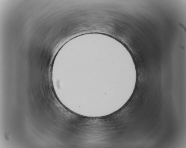 X0000102791516200809151113