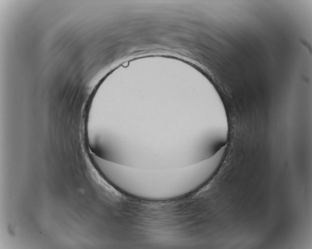 X0000102791518200809151113