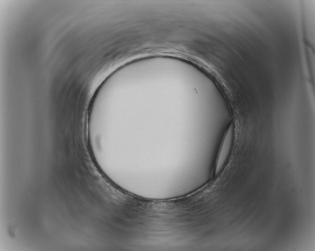 X0000102791520200809151113