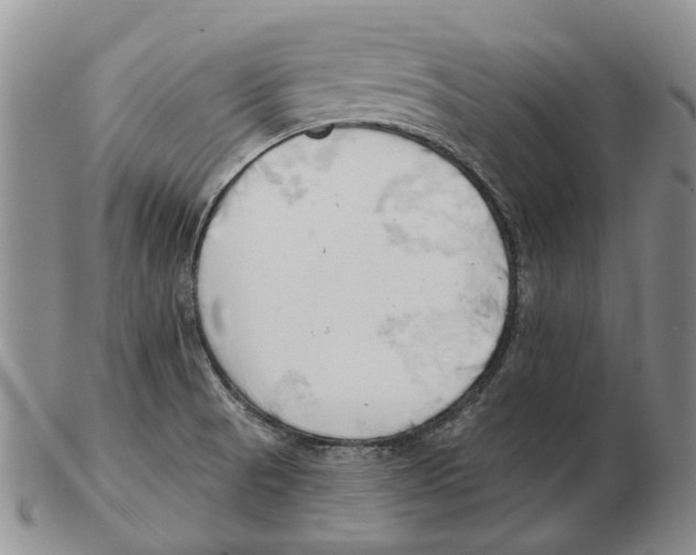 X0000102791521200809151113