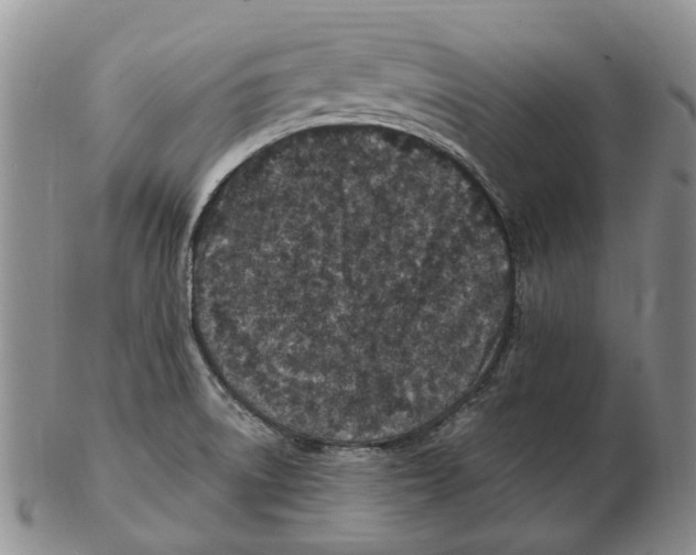 X0000102791522200809151113