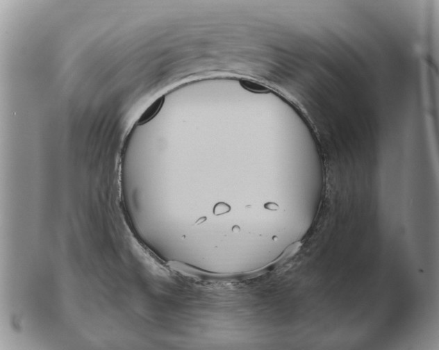 X0000102791524200809151113