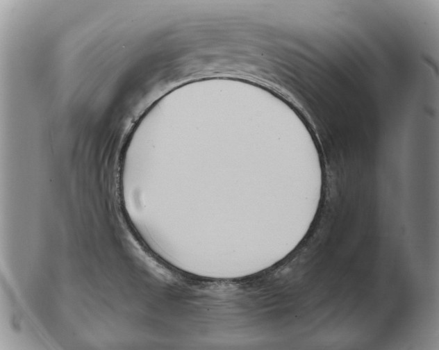 X0000102791525200809151114