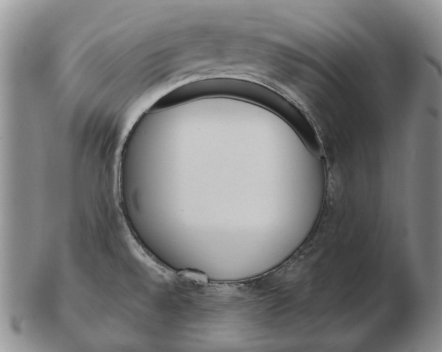 X0000102791528200809151114