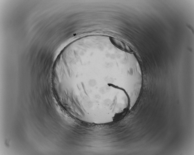 X0000102791530200809151114