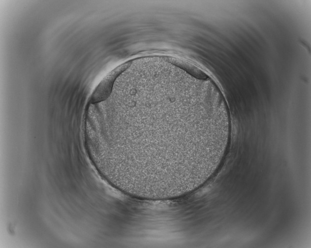 X0000102791533200809151114