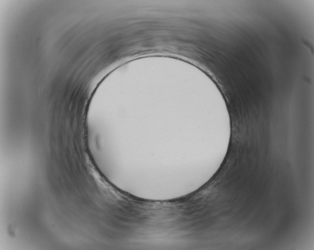 X0000102791534200809151114