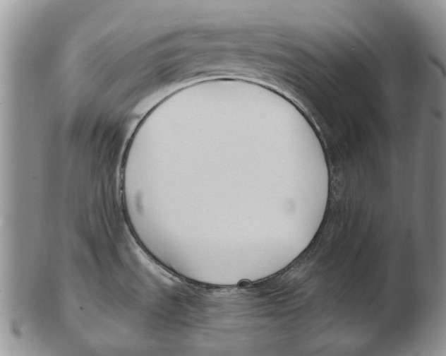 X0000102791535200809151114