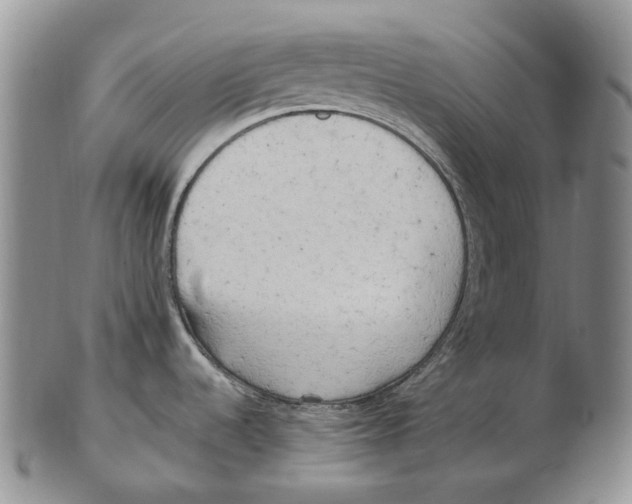 X0000102791536200809151114