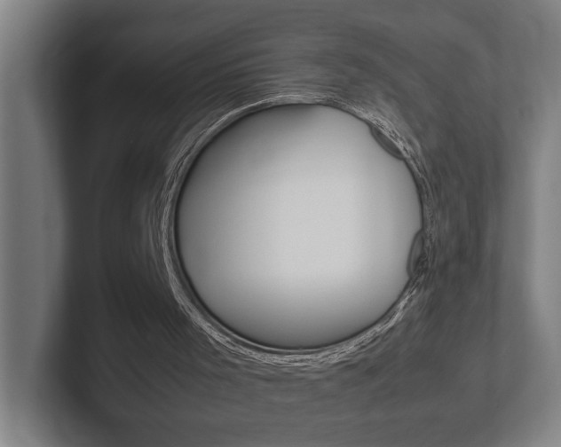 X0000102800001200808180942