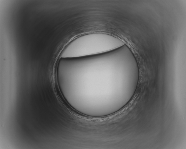X0000102800002200808180942