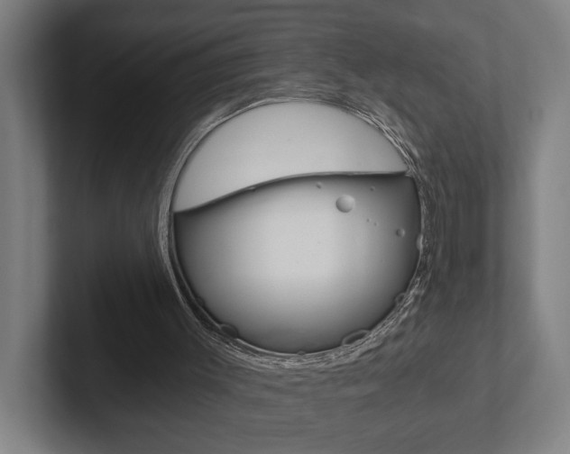 X0000102800003200808180942