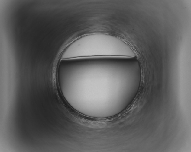 X0000102800004200808180942