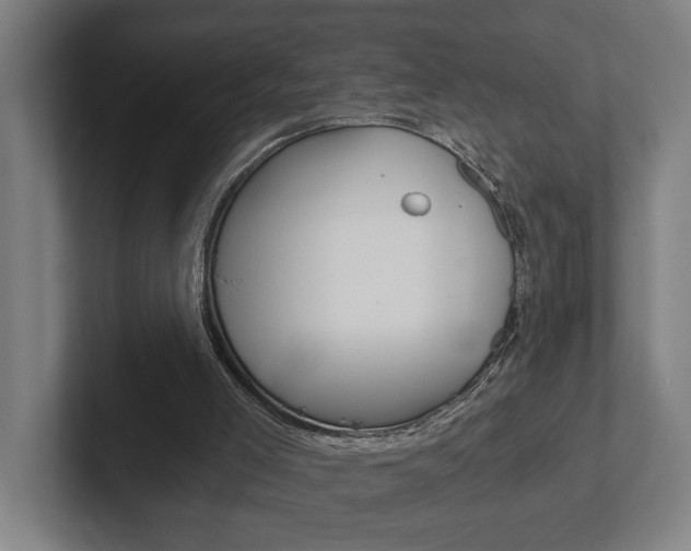X0000102800005200808180942