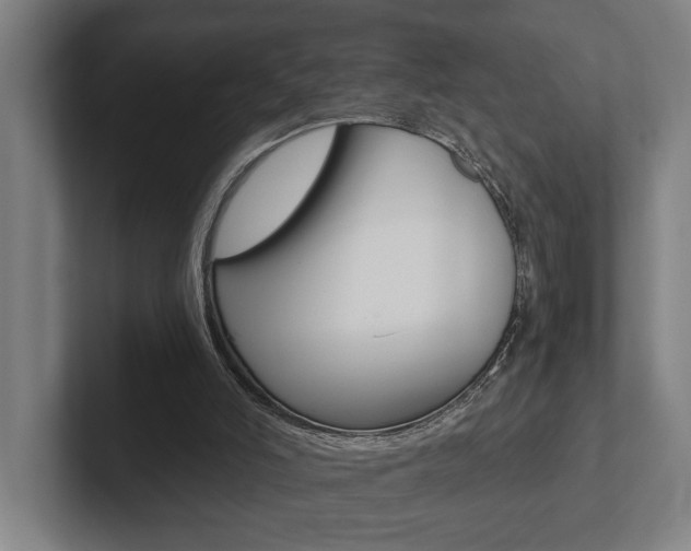 X0000102800006200808180942