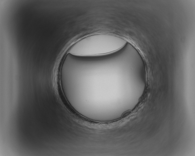 X0000102800007200808180942