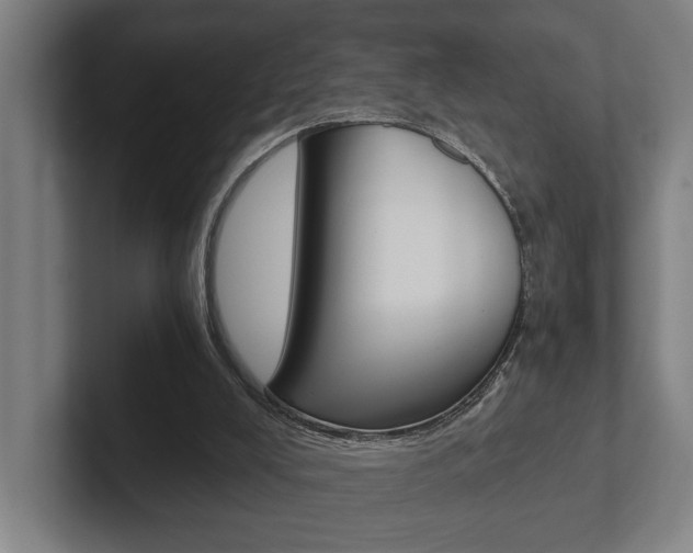 X0000102800008200808180942