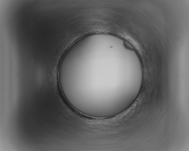 X0000102800009200808180942
