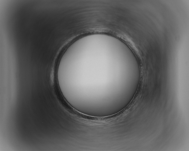 X0000102800012200808180942