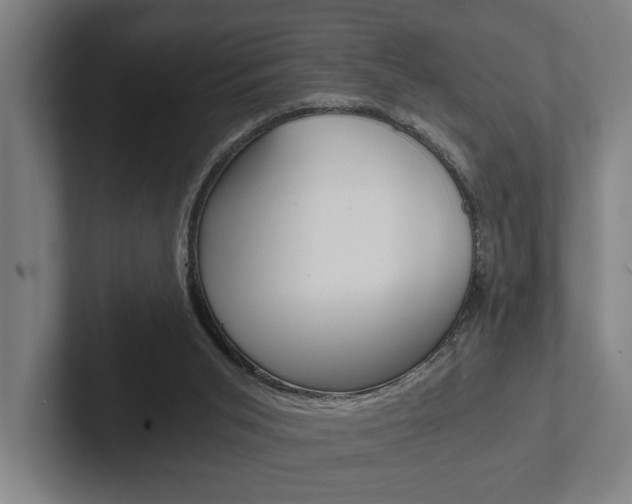 X0000102800015200808180942