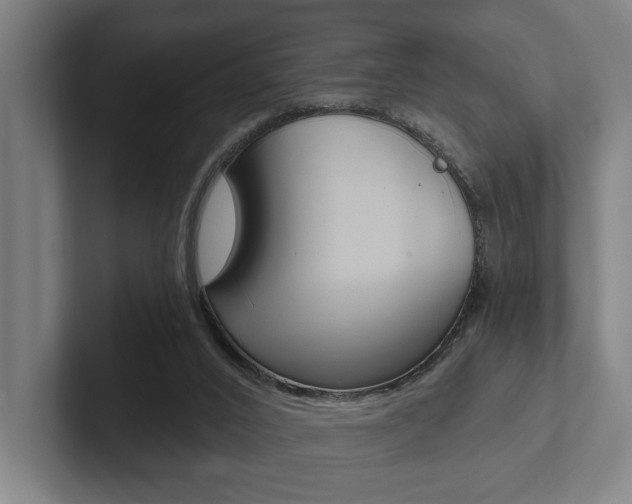 X0000102800016200808180942