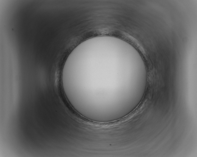 X0000102800018200808180942