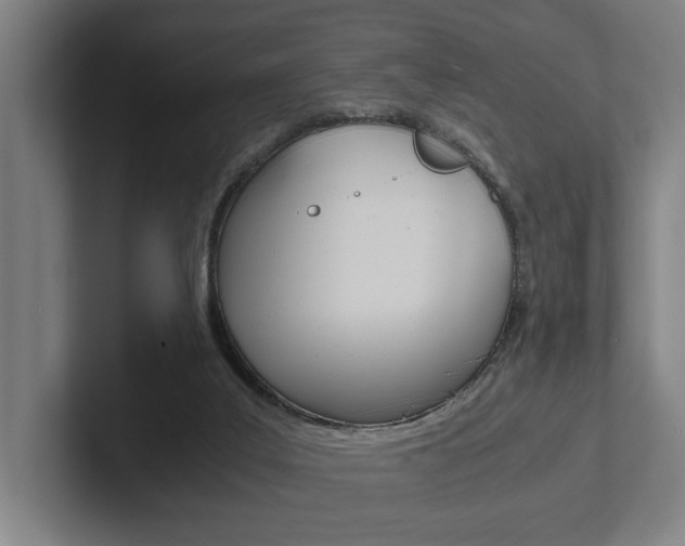 X0000102800019200808180942