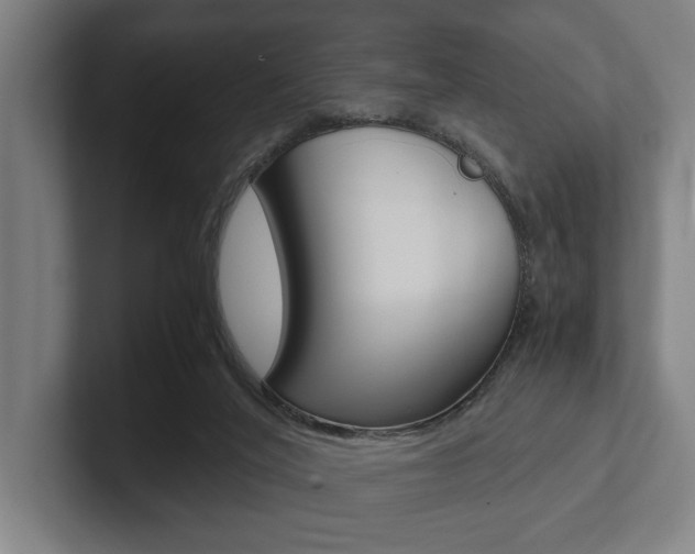 X0000102800020200808180942