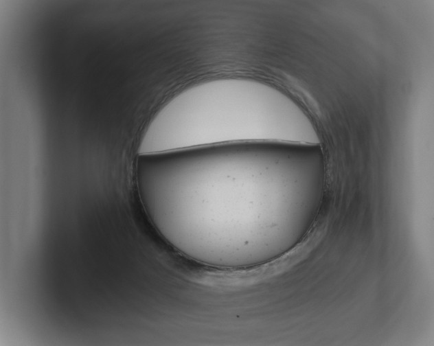 X0000102800025200808180942