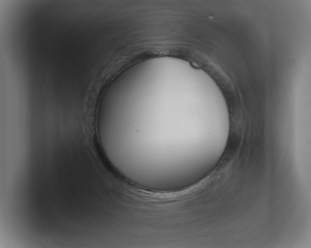 X0000102800031200808180942
