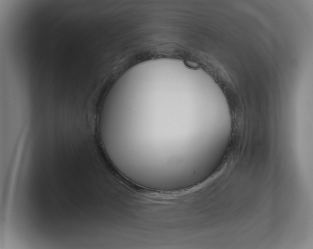 X0000102800033200808180942
