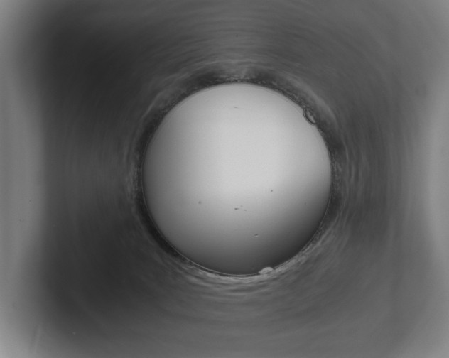 X0000102800035200808180942