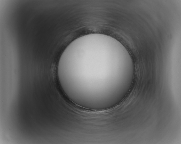 X0000102800036200808180942