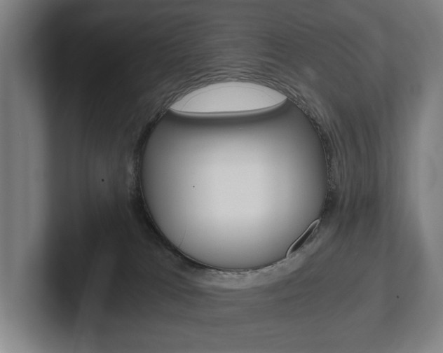 X0000102800037200808180941