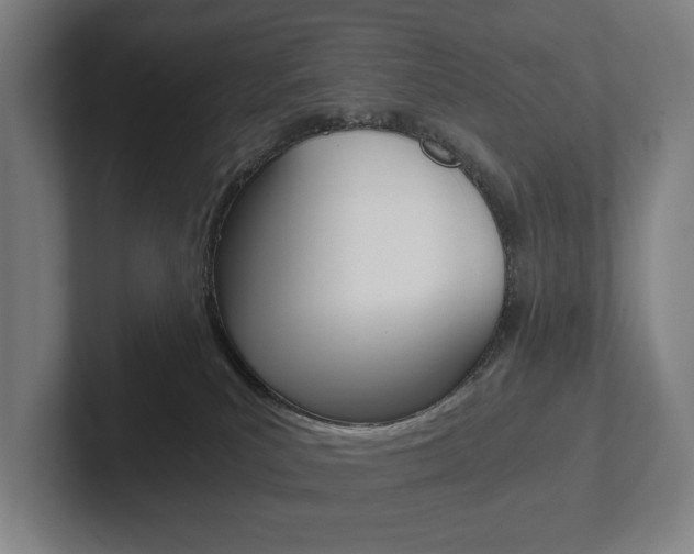 X0000102800039200808180941