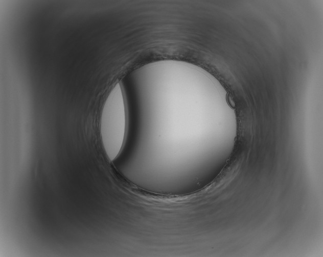 X0000102800040200808180941