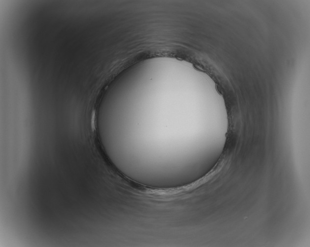 X0000102800041200808180941