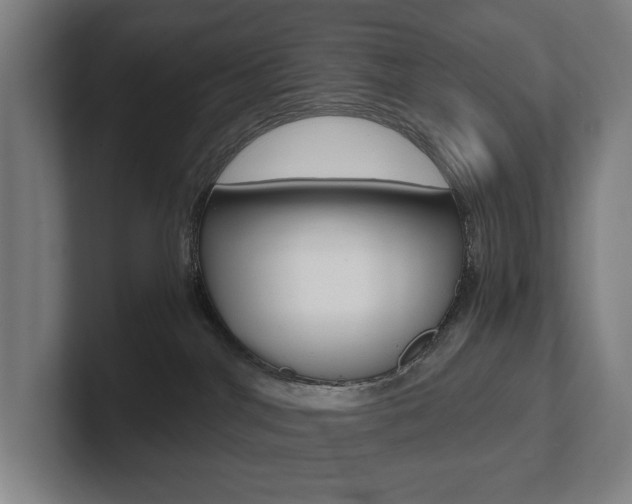X0000102800044200808180941