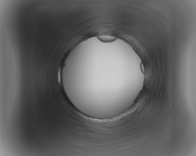 X0000102800046200808180941