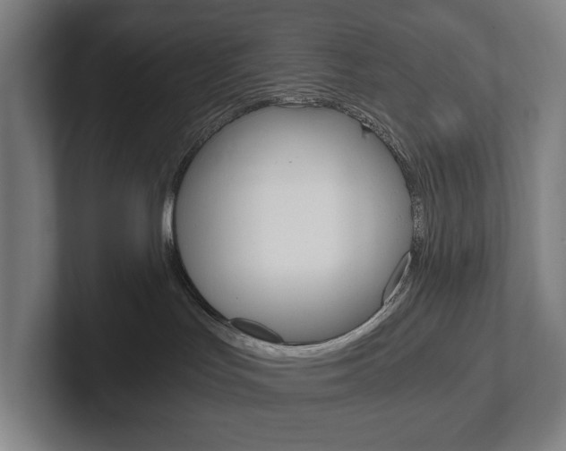 X0000102800047200808180941